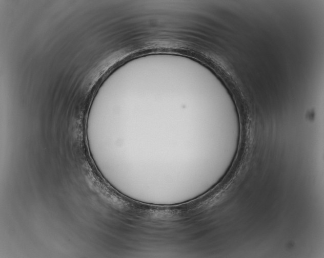 X0000116261025200912291452