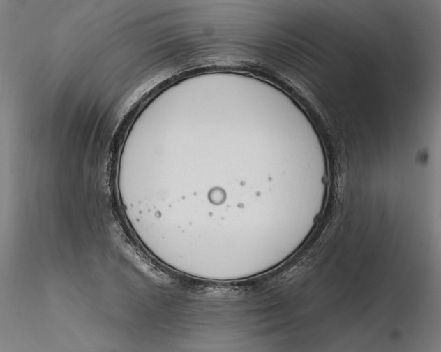 X0000116261026200912291452