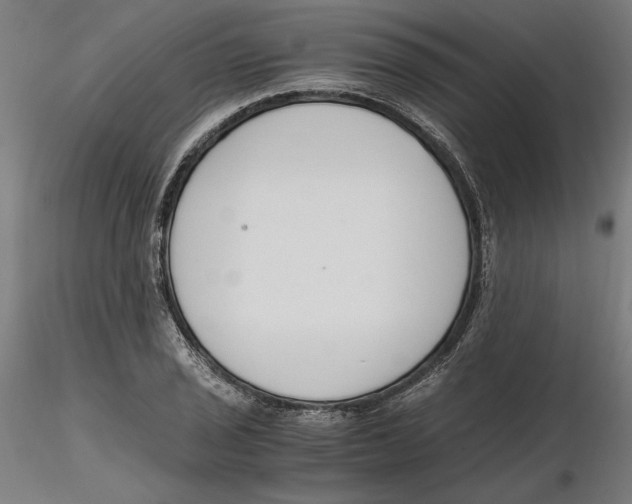 X0000116261029200912291452
