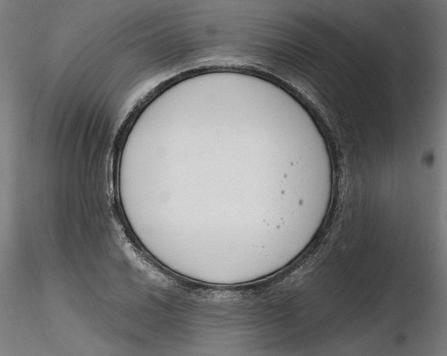 X0000116261030200912291452