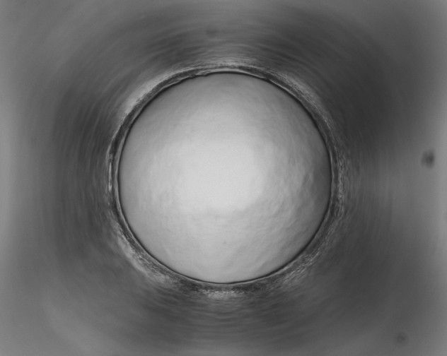 X0000116261031200912291452