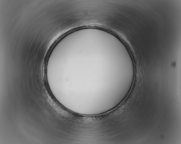 X0000116261032200912291452