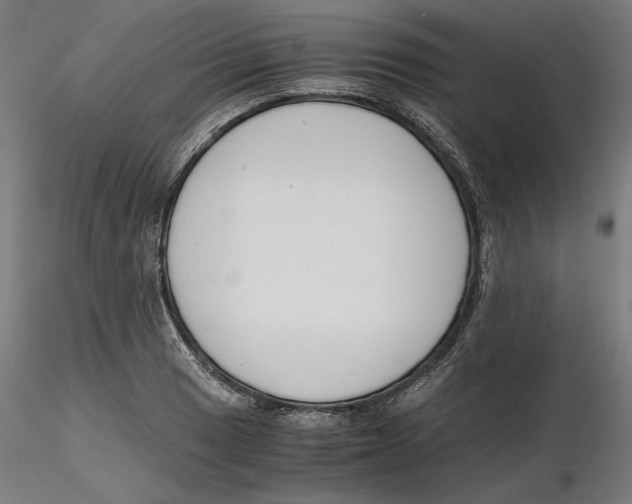 X0000116261033200912291452