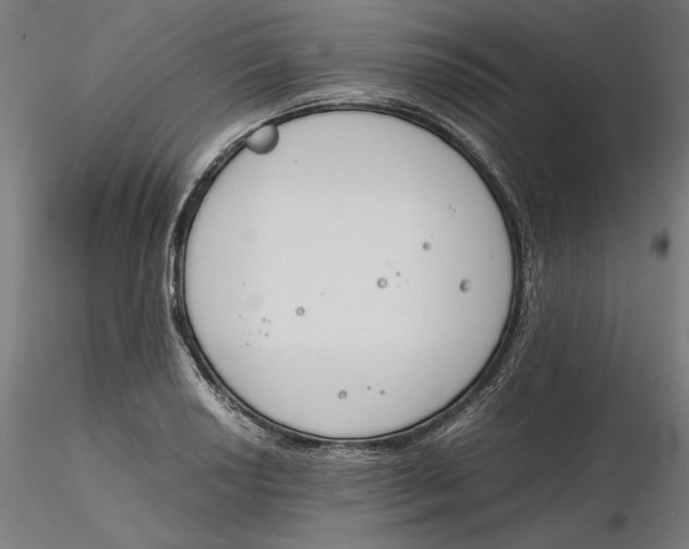X0000116261034200912291452