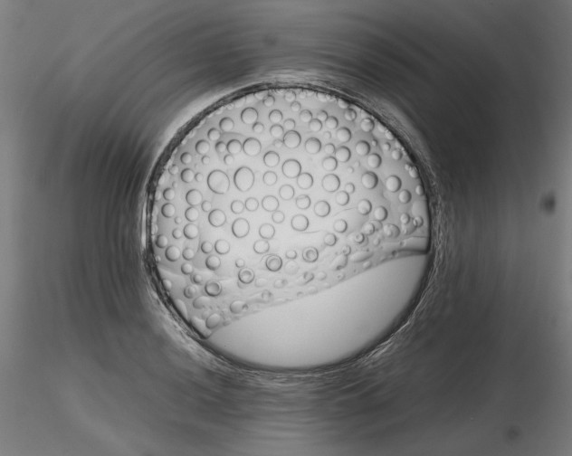 X0000116261036200912291452