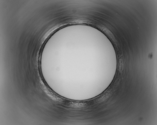 X0000116261039200912291452