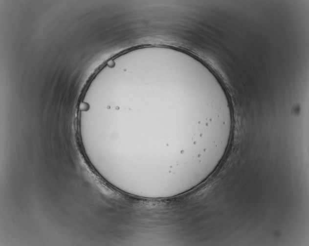 X0000116261040200912291452