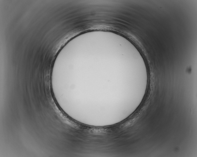 X0000116261041200912291452