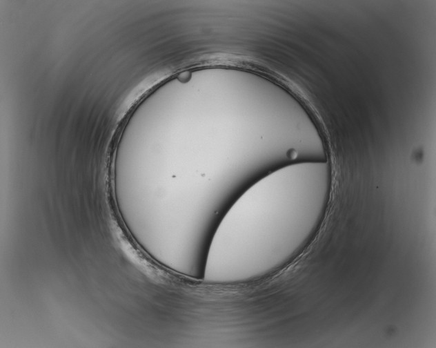 X0000116261042200912291452
