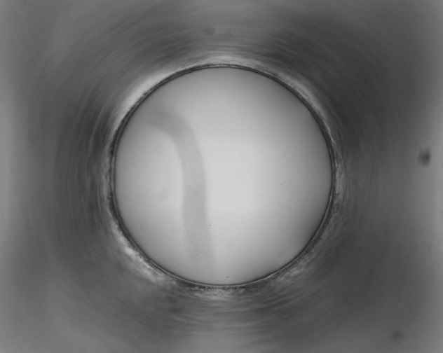 X0000116261048200912291452