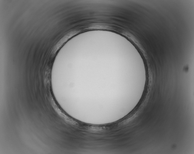 X0000116261049200912291452
