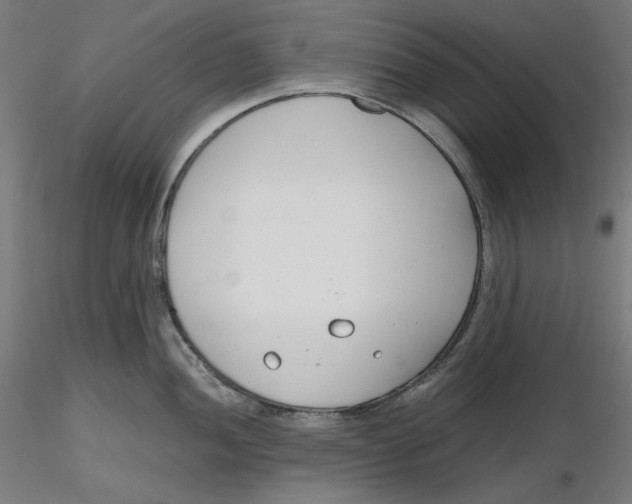X0000116261052200912291452