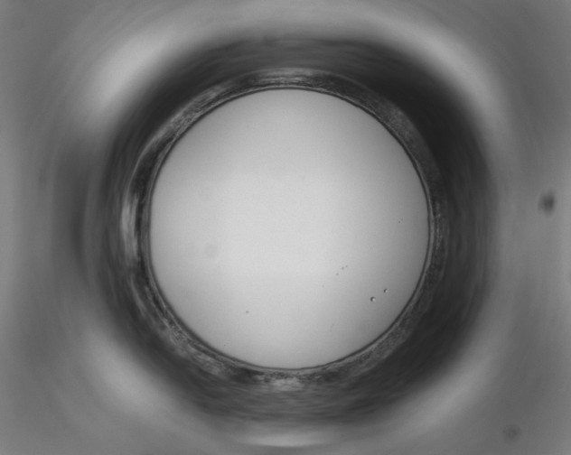X0000116261054200912291452