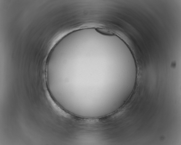 X0000116261055200912291452