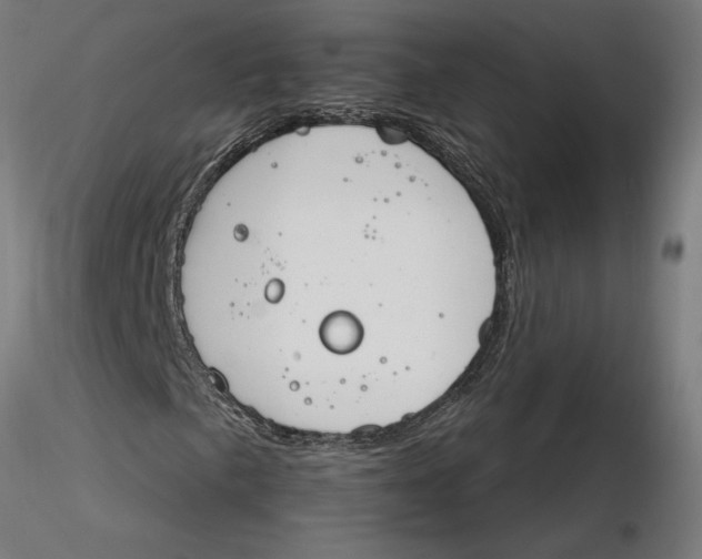 X0000116261057200912291452
