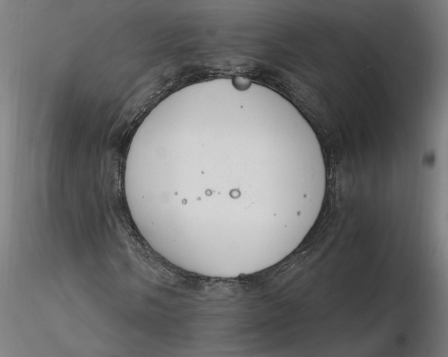 X0000116261058200912291451