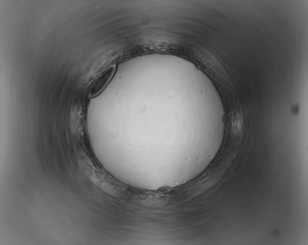 X0000116261060200912291451