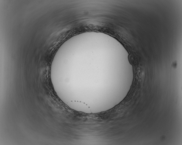 X0000116261061200912291451