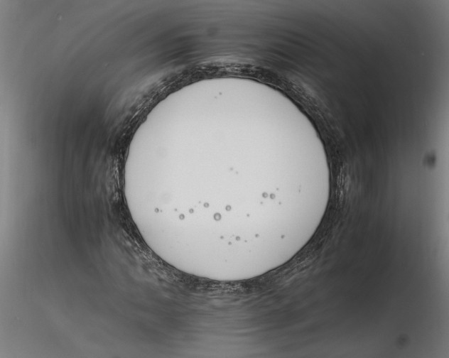 X0000116261062200912291451