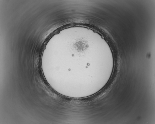 X0000116261065200912291451