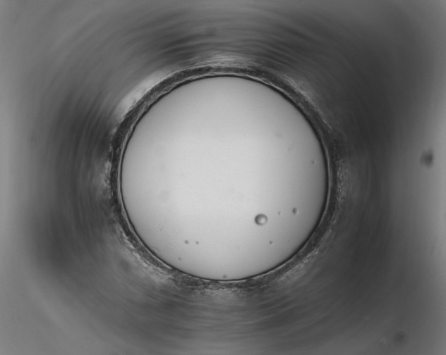 X0000116261066200912291451