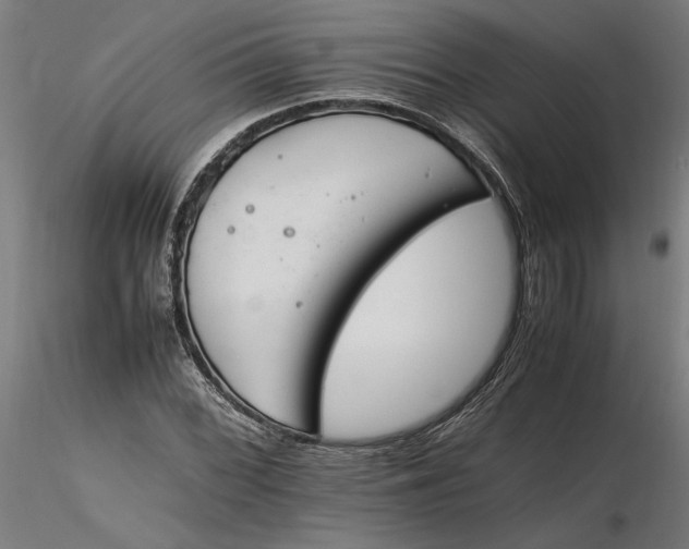 X0000116261068200912291451