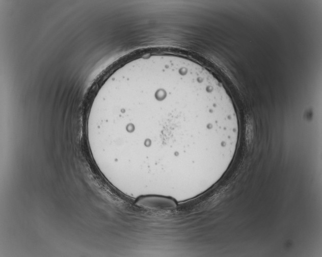X0000116261069200912291451