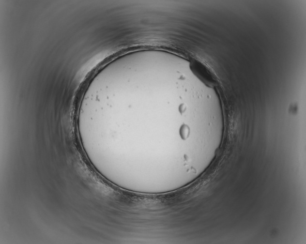 X0000116261071200912291451
