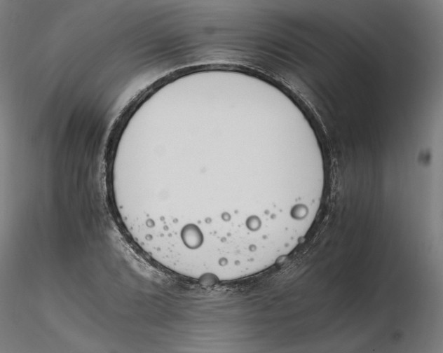 X0000116261072200912291451