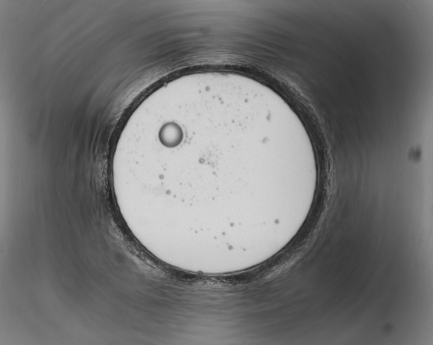 X0000116261073200912291451