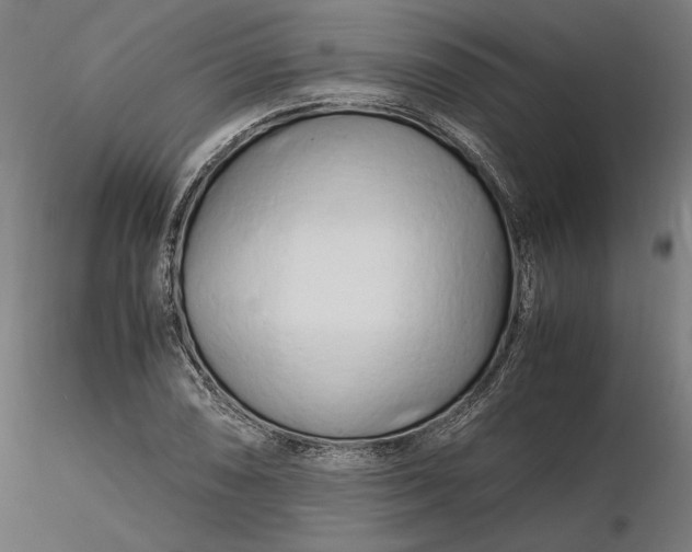 X0000116261074200912291451