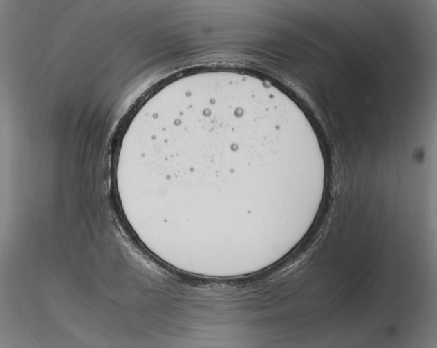 X0000116261075200912291451
