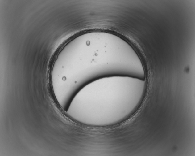 X0000116261077200912291451