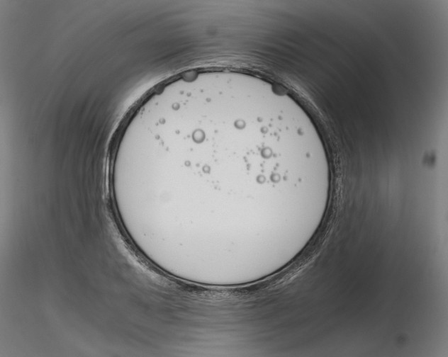 X0000116261079200912291451