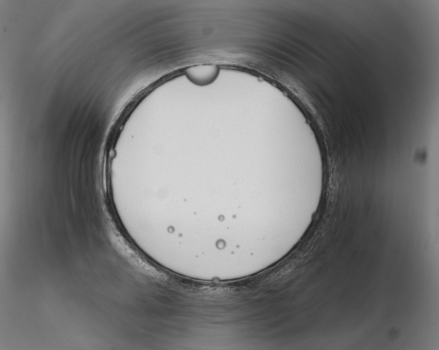 X0000116261080200912291451