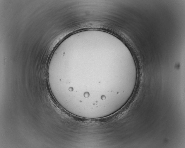 X0000116261081200912291451