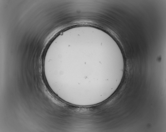 X0000116261082200912291451