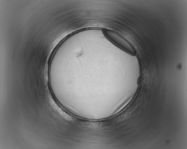 X0000116261084200912291451