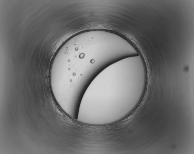 X0000116261089200912291451