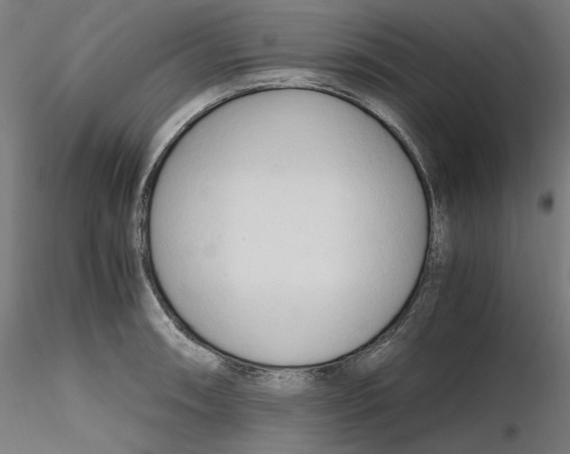 X0000116261090200912291451