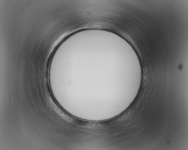 X0000116261091200912291451
