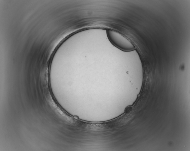 X0000116261092200912291451