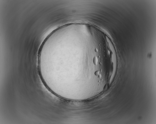 X0000116261095200912291451