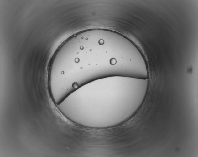 X0000116261096200912291451