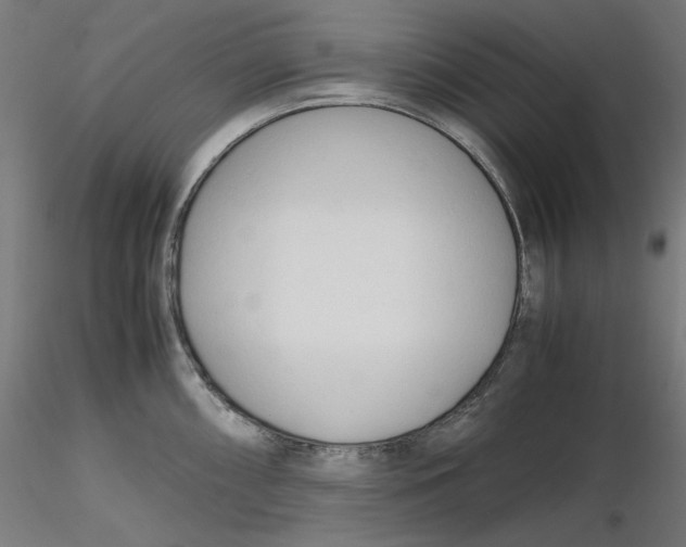 X0000116261098200912291451