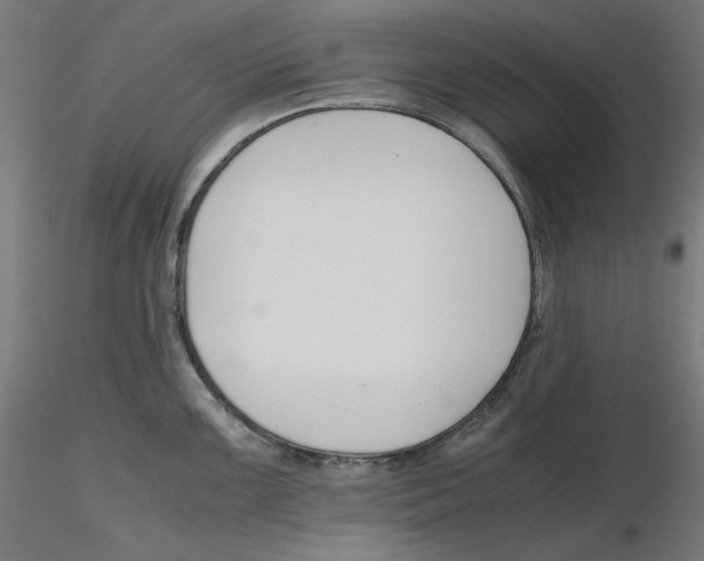 X0000116261099200912291451