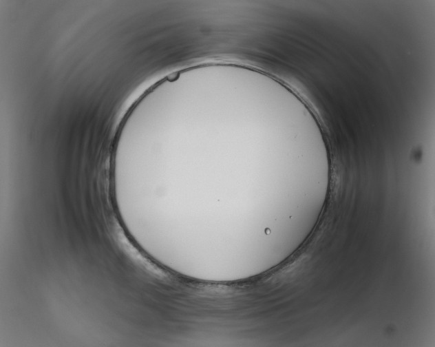 X0000116261100200912291451