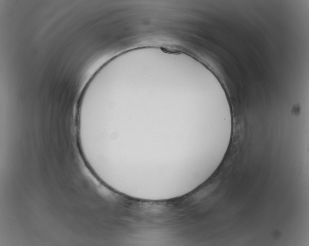 X0000116261103200912291451