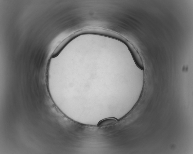 X0000116261104200912291451