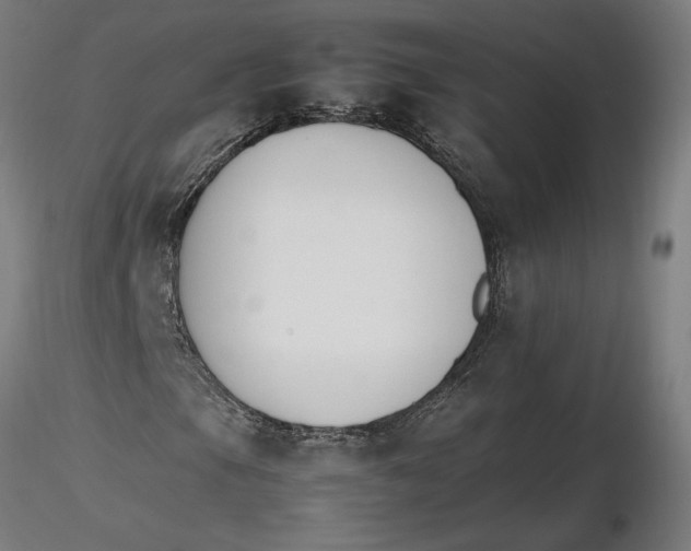 X0000116261105200912291450